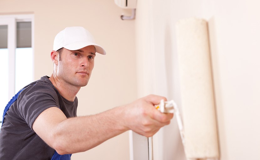 Assistant Construction Painter & Decorator